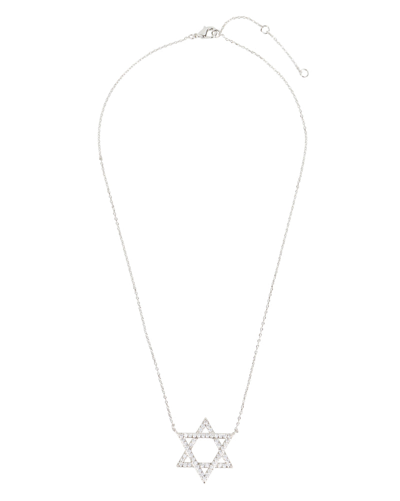 The Star of David Necklace