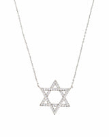 The Star of David Necklace