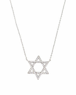The Star of David Necklace